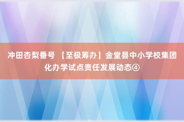 冲田杏梨番号 【至极筹办】金堂县中小学校集团化办学试点责任发展动态④