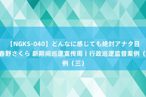 【NGKS-040】どんなに感じても絶対アナタ目線 春野さくら 新期间巡逻宣传周丨行政巡逻监督案例（三）