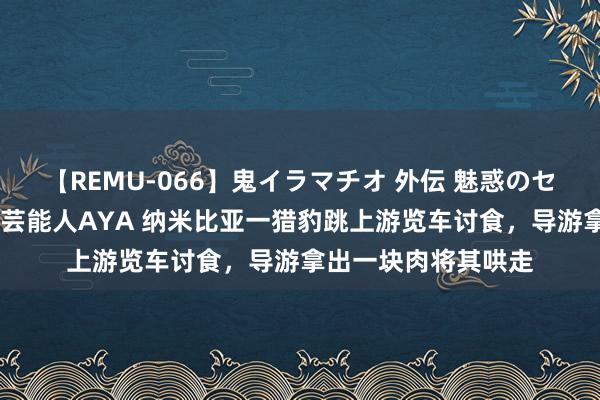 【REMU-066】鬼イラマチオ 外伝 魅惑のセクシーイラマチオ 芸能人AYA 纳米比亚一猎豹跳上游览车讨食，导游拿出一块肉将其哄走