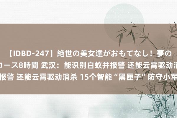 【IDBD-247】絶世の美女達がおもてなし！夢の桃源郷 IP風俗街 VIPコース8時間 武汉：能识别白蚁并报警 还能云霄驱动消杀 15个智能“黑匣子”防守小军山段堤坡