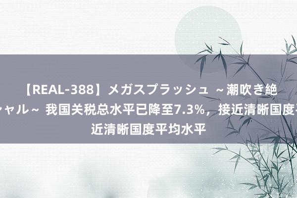 【REAL-388】メガスプラッシュ ～潮吹き絶頂スペシャル～ 我国关税总水平已降至7.3%，接近清晰国度平均水平