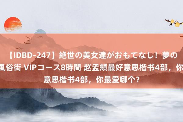 【IDBD-247】絶世の美女達がおもてなし！夢の桃源郷 IP風俗街 VIPコース8時間 赵孟頫最好意思楷书4部，你最爱哪个？