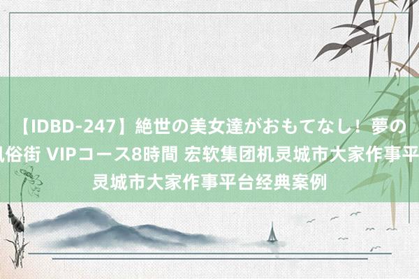 【IDBD-247】絶世の美女達がおもてなし！夢の桃源郷 IP風俗街 VIPコース8時間 宏软集团机灵城市大家作事平台经典案例