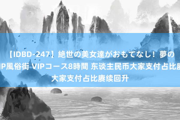 【IDBD-247】絶世の美女達がおもてなし！夢の桃源郷 IP風俗街 VIPコース8時間 东谈主民币大家支付占比赓续回升