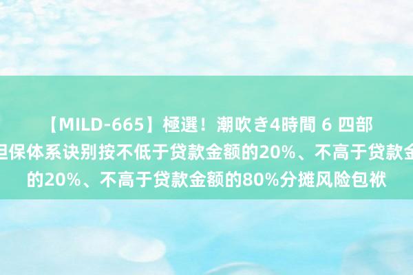 【MILD-665】極選！潮吹き4時間 6 四部门：银行和政府性融资担保体系诀别按不低于贷款金额的20%、不高于贷款金额的80%分摊风险包袱