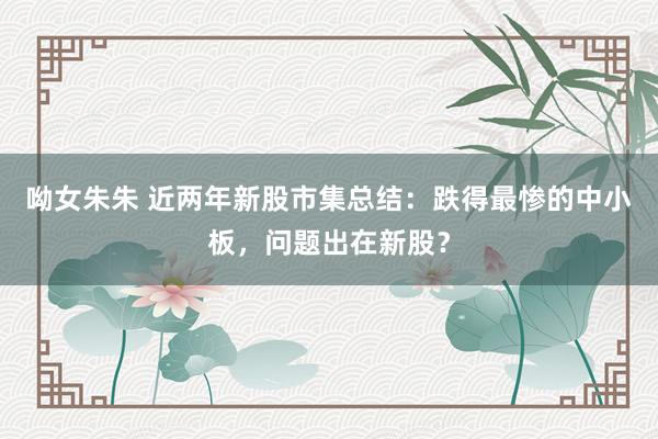 呦女朱朱 近两年新股市集总结：跌得最惨的中小板，问题出在新股？