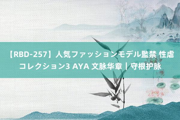 【RBD-257】人気ファッションモデル監禁 性虐コレクション3 AYA 文脉华章｜守根护脉