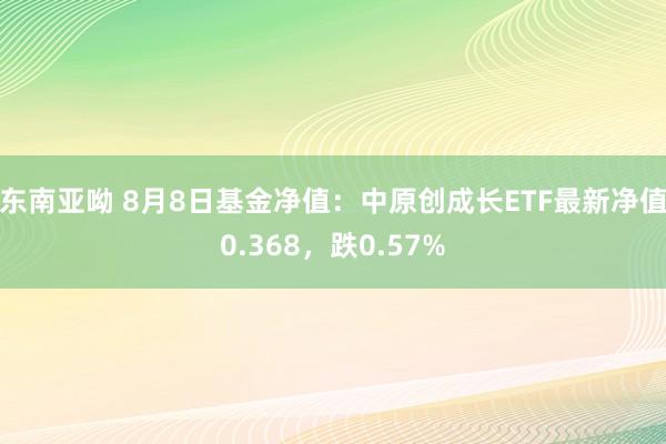 东南亚呦 8月8日基金净值：中原创成长ETF最新净值0.368，跌0.57%