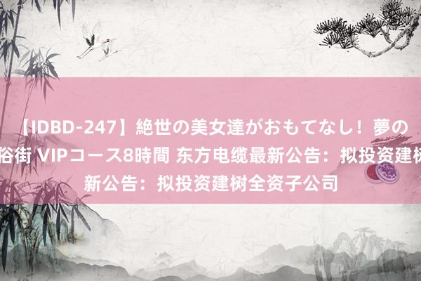 【IDBD-247】絶世の美女達がおもてなし！夢の桃源郷 IP風俗街 VIPコース8時間 东方电缆最新公告：拟投资建树全资子公司