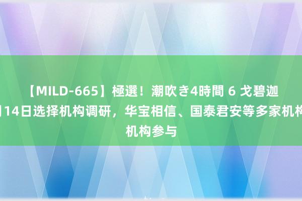 【MILD-665】極選！潮吹き4時間 6 戈碧迦：8月14日选择机构调研，华宝相信、国泰君安等多家机构参与