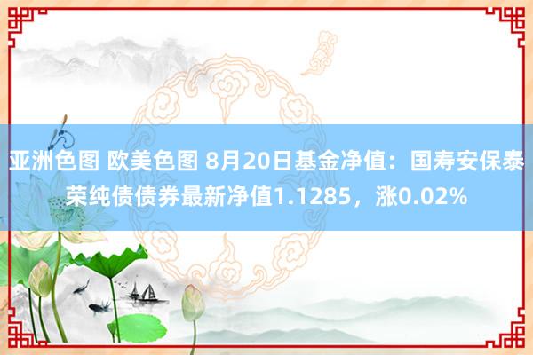 亚洲色图 欧美色图 8月20日基金净值：国寿安保泰荣纯债债券最新净值1.1285，涨0.02%