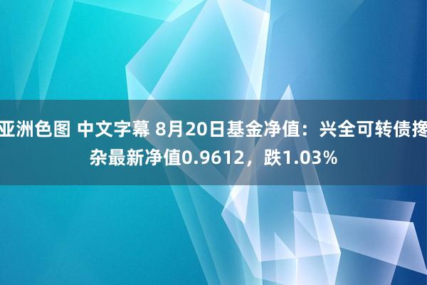 亚洲色图 中文字幕 8月20日基金净值：兴全可转债搀杂最新净值0.9612，跌1.03%