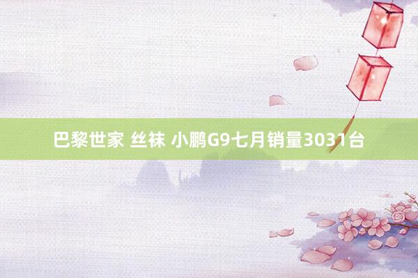 巴黎世家 丝袜 小鹏G9七月销量3031台