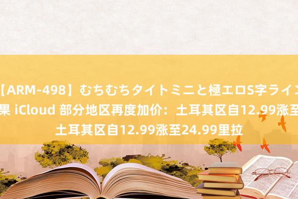 【ARM-498】むちむちタイトミニと極エロS字ライン 2 AIKA 苹果 iCloud 部分地区再度加价：土耳其区自12.99涨至24.99里拉