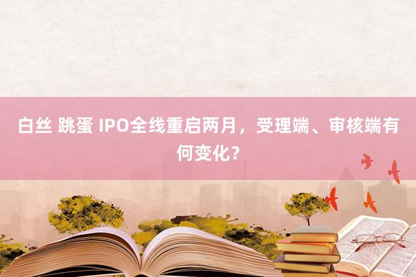 白丝 跳蛋 IPO全线重启两月，受理端、审核端有何变化？