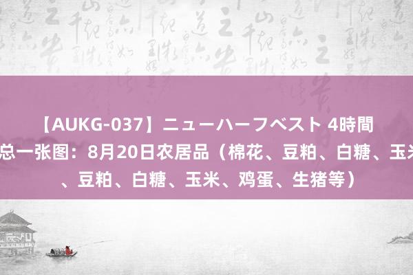 【AUKG-037】ニューハーフベスト 4時間 期货公司不雅点汇总一张图：8月20日农居品（棉花、豆粕、白糖、玉米、鸡蛋、生猪等）