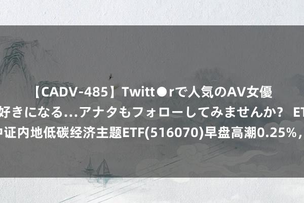 【CADV-485】Twitt●rで人気のAV女優 SNSでますますAV女優が好きになる…アナタもフォローしてみませんか？ ETF最前方 | 易方达中证内地低碳经济主题ETF(516070)早盘高潮0.25%，固态电板主题走强，先导智能高潮6.85%