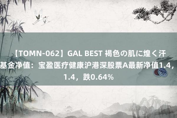 【TOMN-062】GAL BEST 褐色の肌に煌く汗 8月26日基金净值：宝盈医疗健康沪港深股票A最新净值1.4，跌0.64%