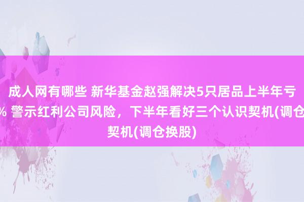 成人网有哪些 新华基金赵强解决5只居品上半年亏超14% 警示红利公司风险，下半年看好三个认识契机(调仓换股)