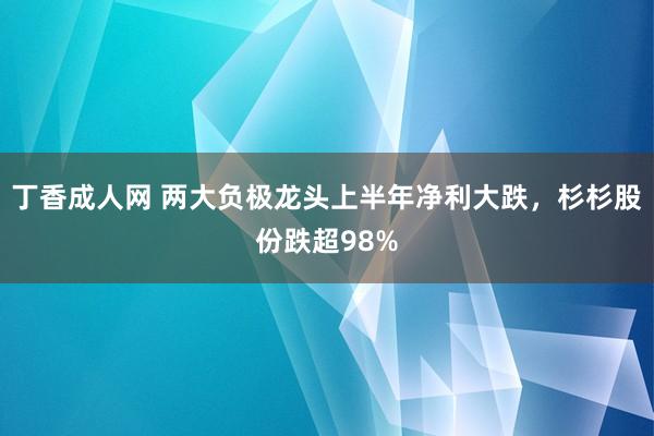 丁香成人网 两大负极龙头上半年净利大跌，杉杉股份跌超98%