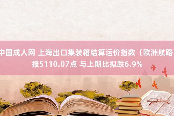 中国成人网 上海出口集装箱结算运价指数（欧洲航路）报5110.07点 与上期比拟跌6.9%