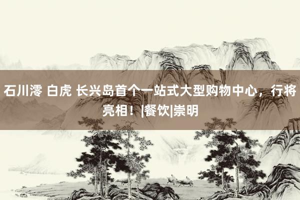 石川澪 白虎 长兴岛首个一站式大型购物中心，行将亮相！|餐饮|崇明