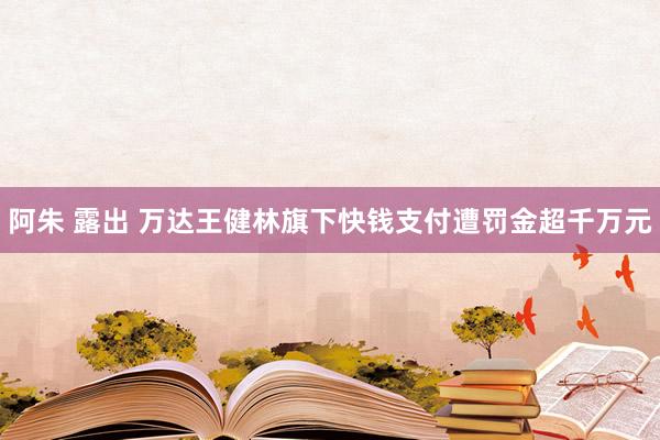 阿朱 露出 万达王健林旗下快钱支付遭罚金超千万元