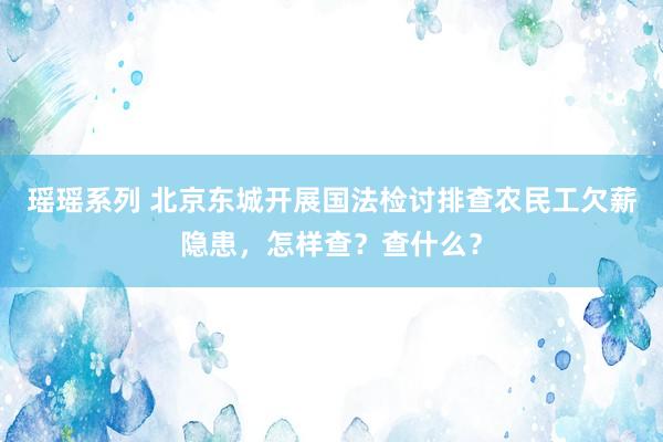 瑶瑶系列 北京东城开展国法检讨排查农民工欠薪隐患，怎样查？查什么？