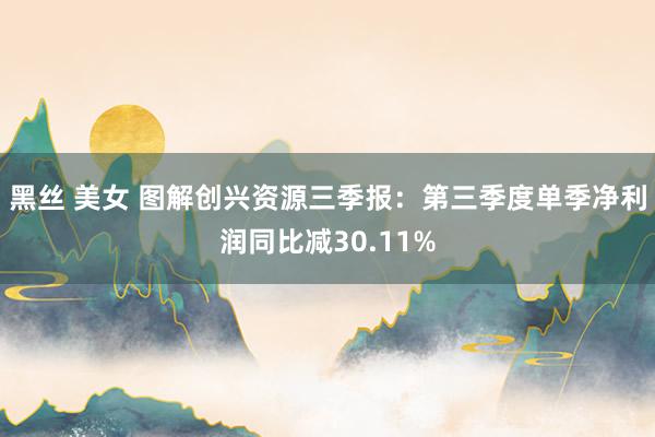 黑丝 美女 图解创兴资源三季报：第三季度单季净利润同比减30.11%